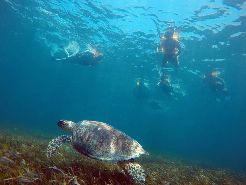Xcaret Park
