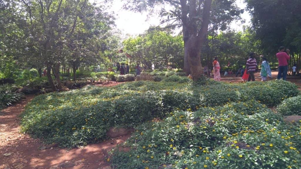 Evening Musical Fountain