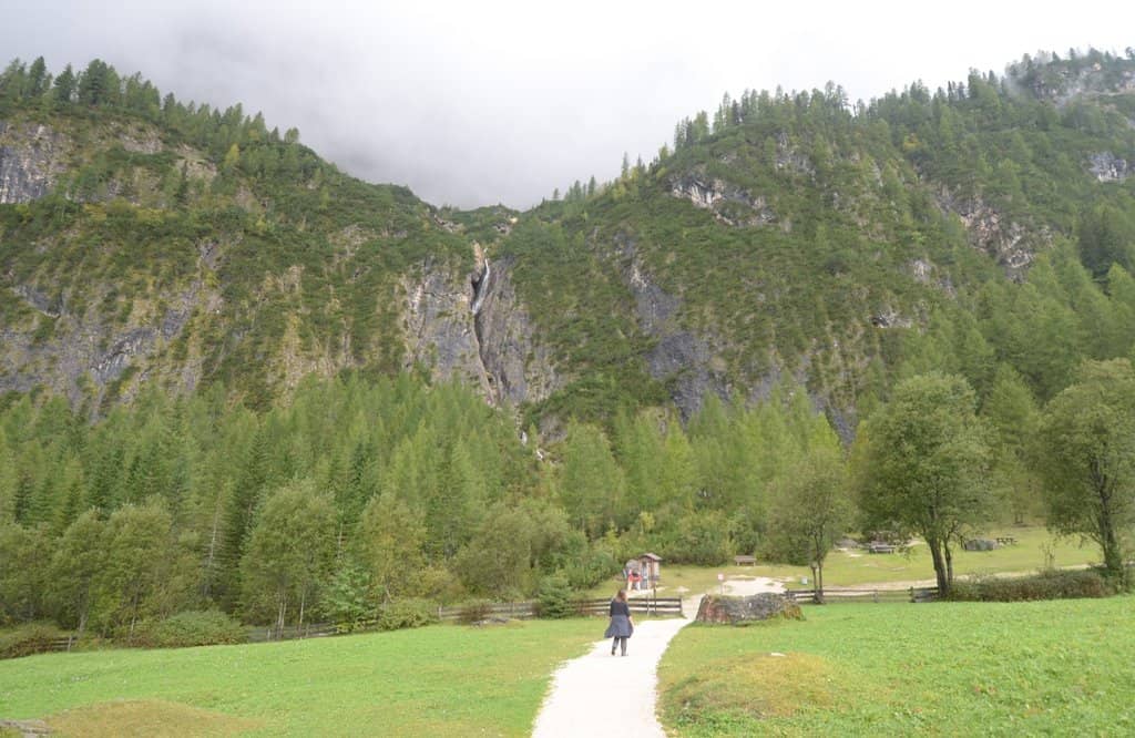 Pine Forest Trail