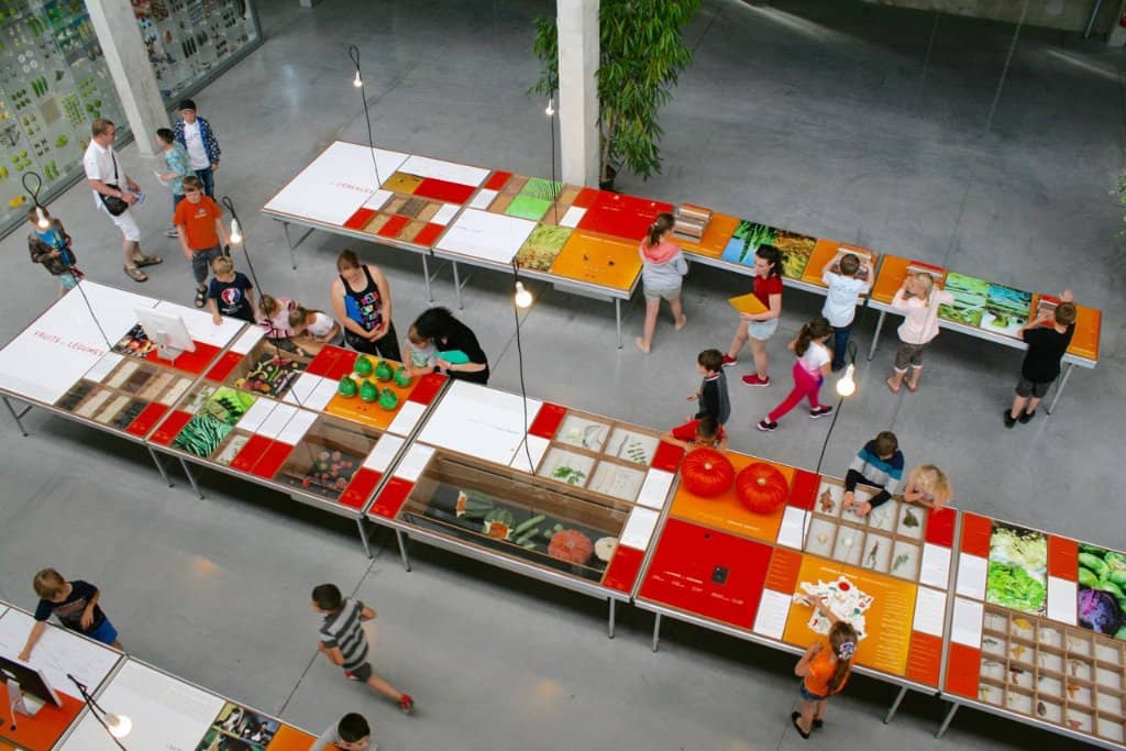 Recycling and Waste Awareness