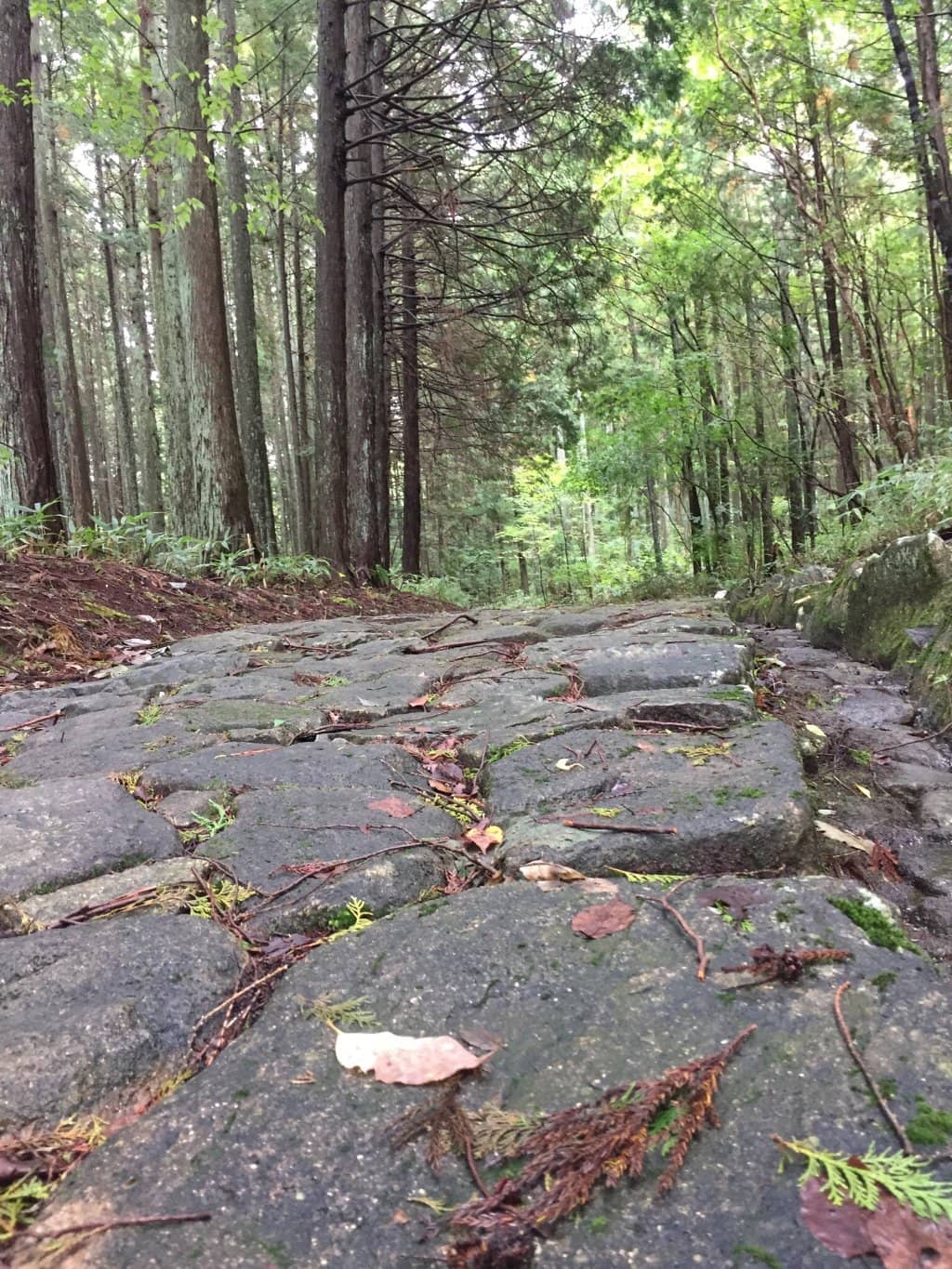 Vertical photo