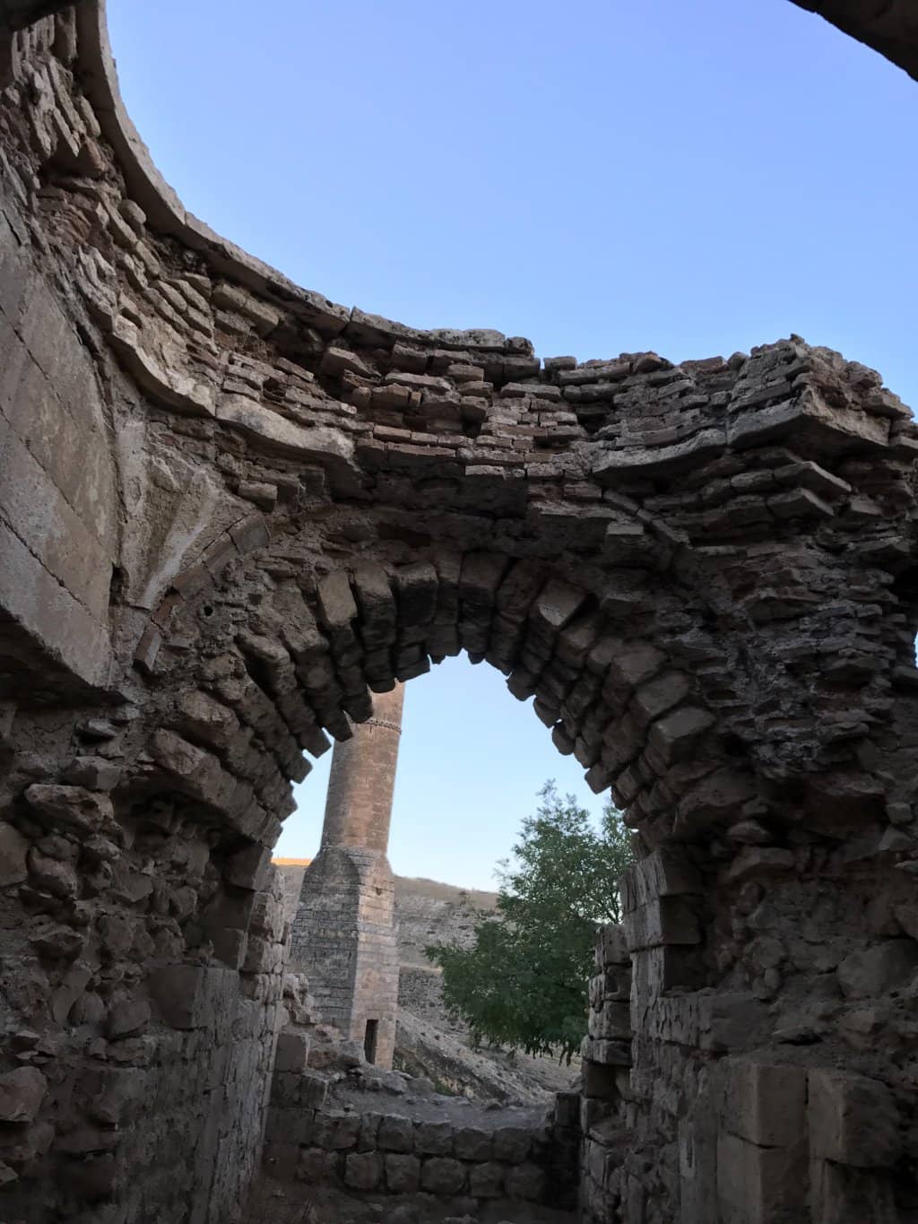 Vertical photo