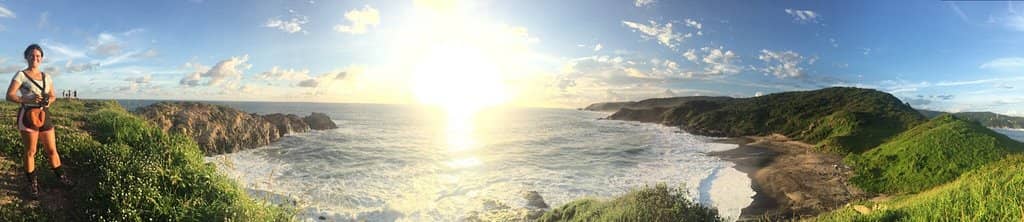 Whale Watching Opportunities