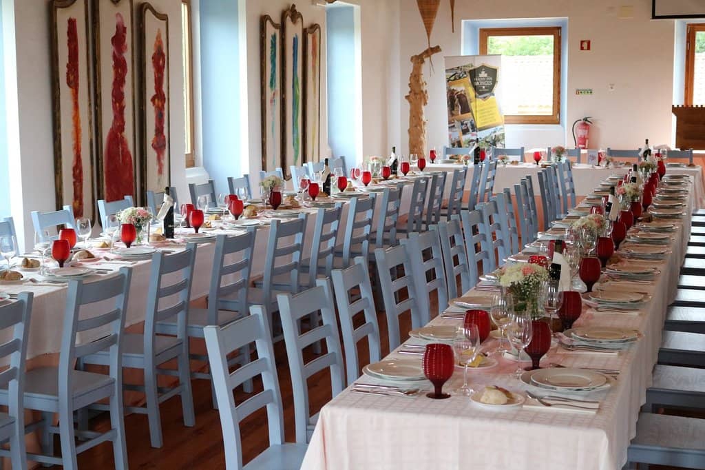 Mini Zoo & Nature Trails