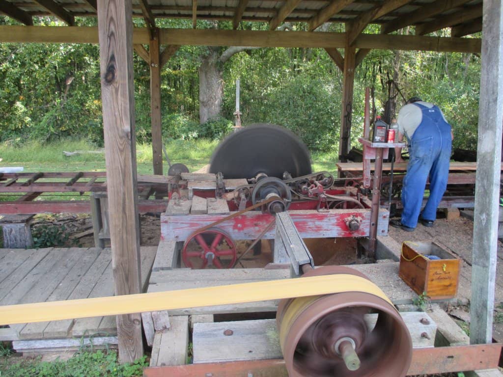 Scenic Walking Trails