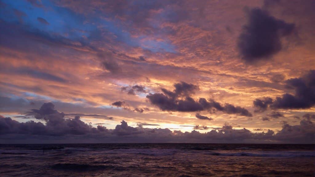 Snorkeling Opportunities