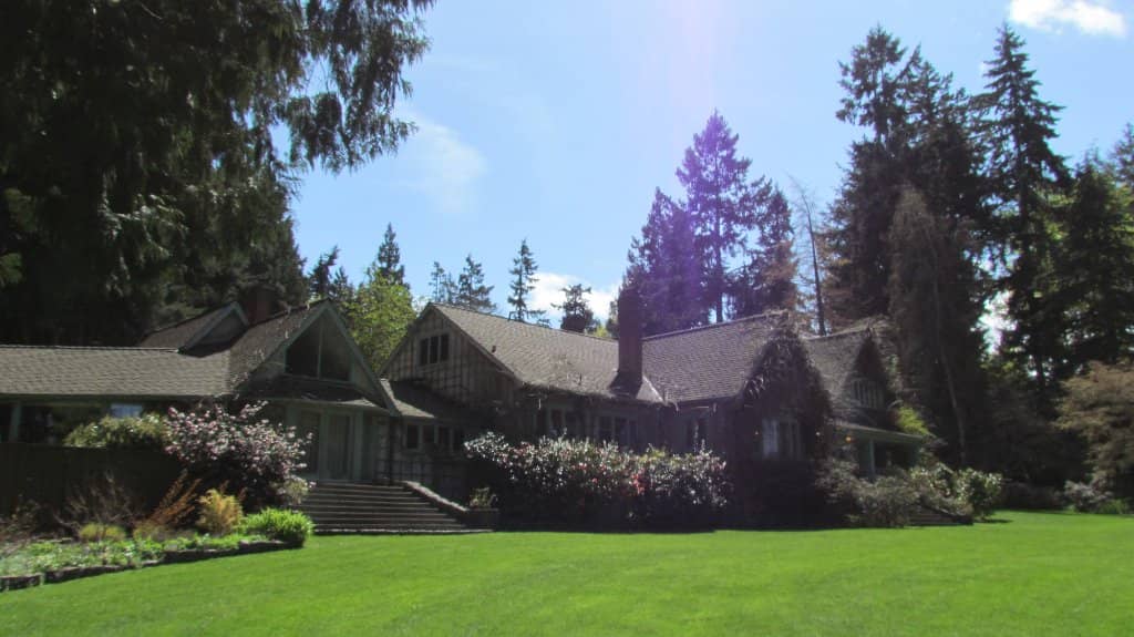 Camellia Tea Room