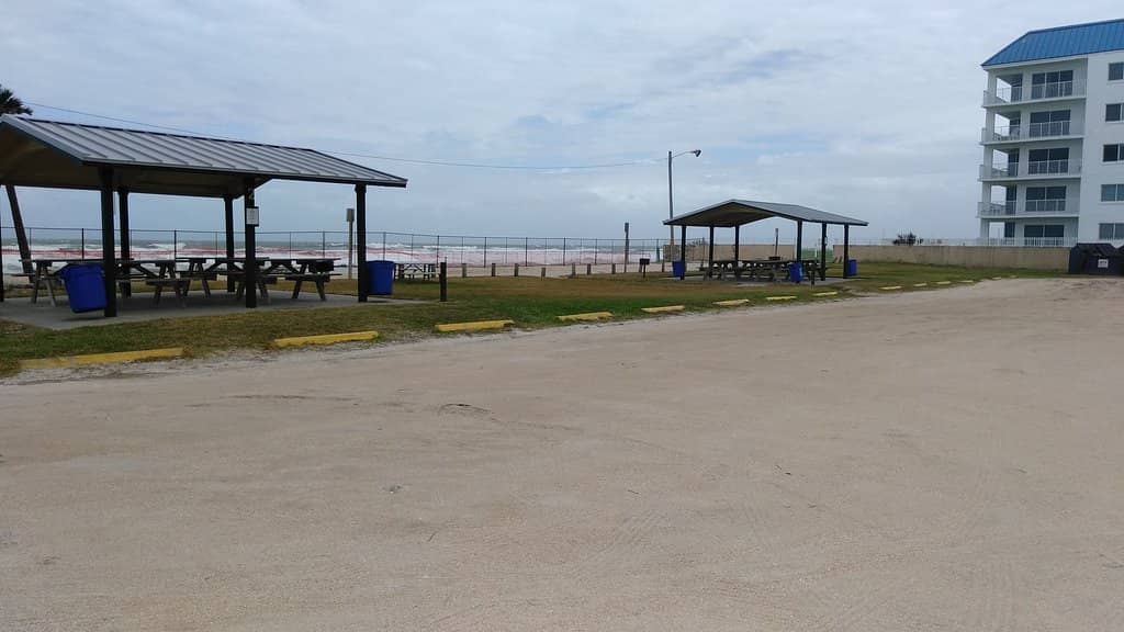 Manatee & Dolphin Watching