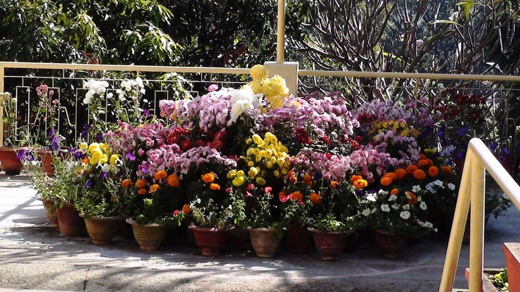 Well-Maintained Gardens