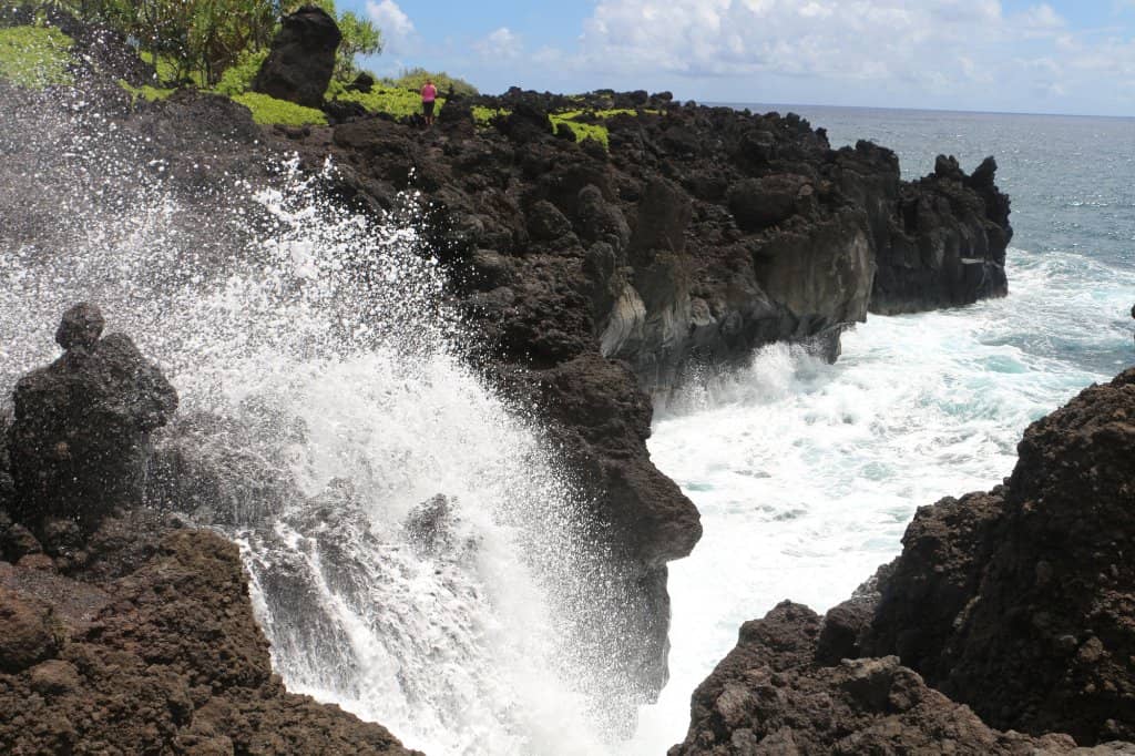 Coastal Hiking Trails