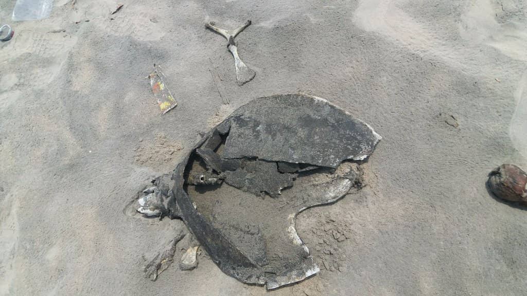 Adventure Activities