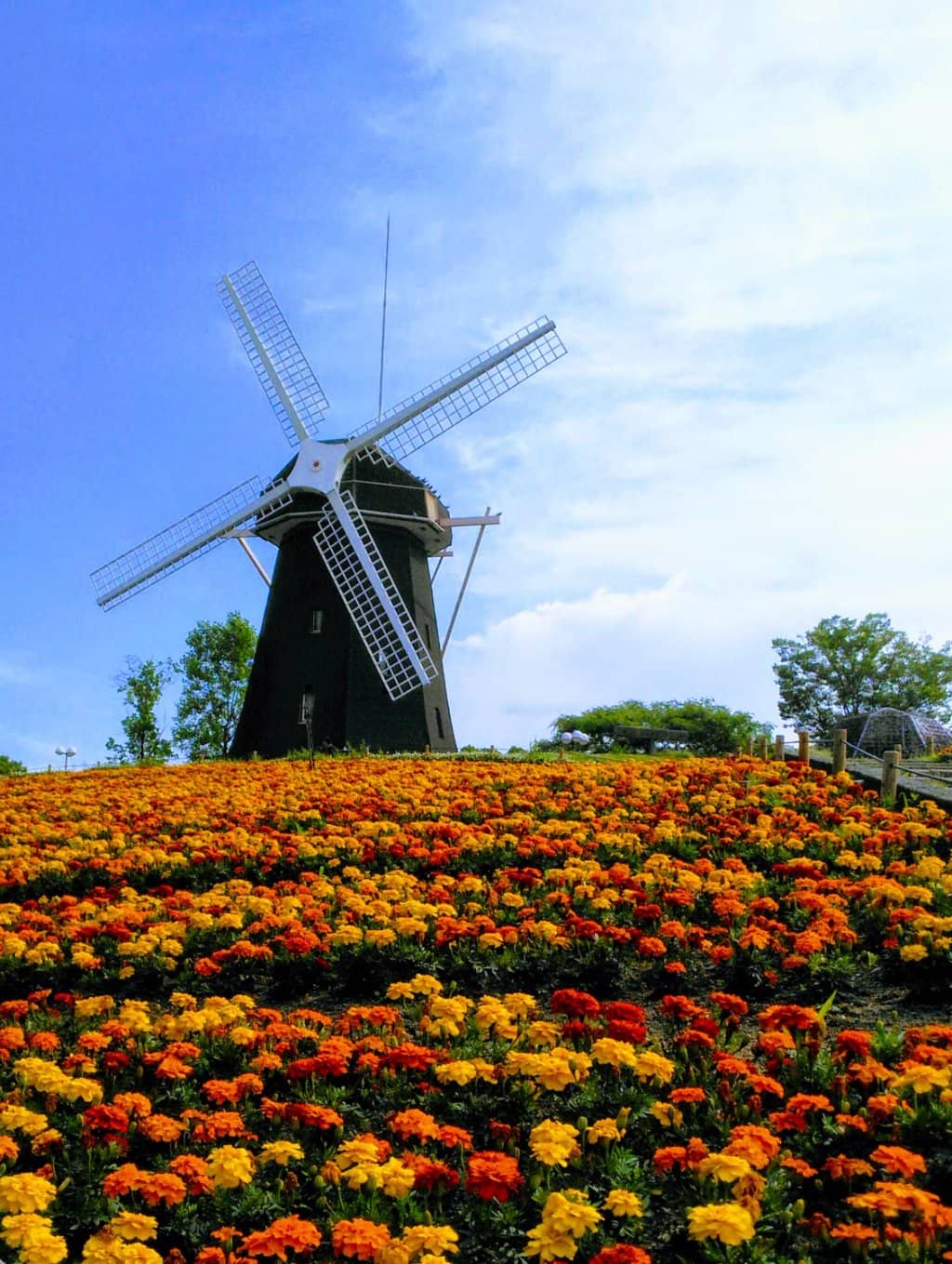 The Iconic Dutch-style Windmill