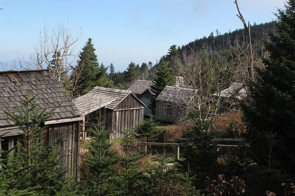 Alum Cave Bluffs