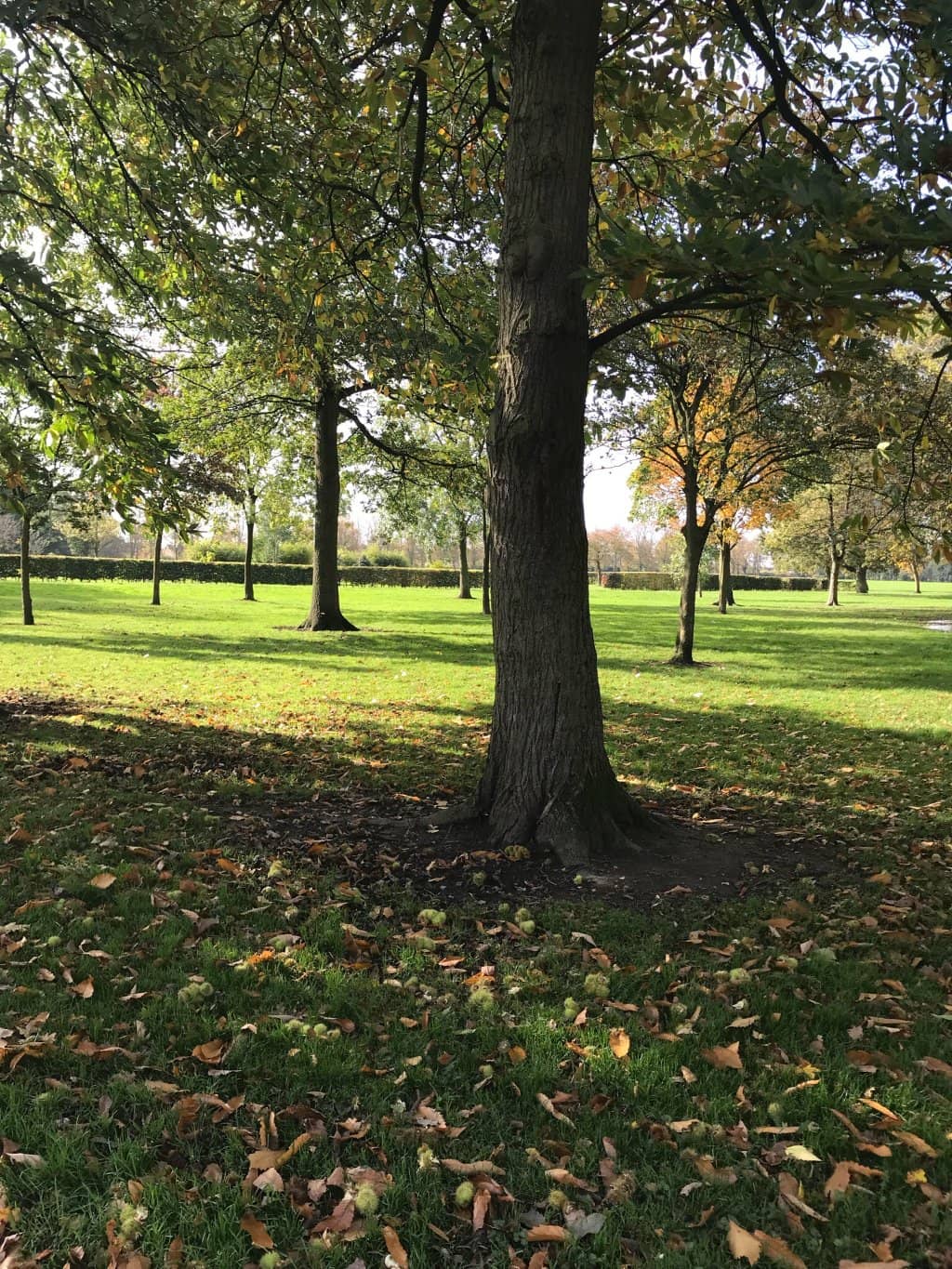 Children's Play Area
