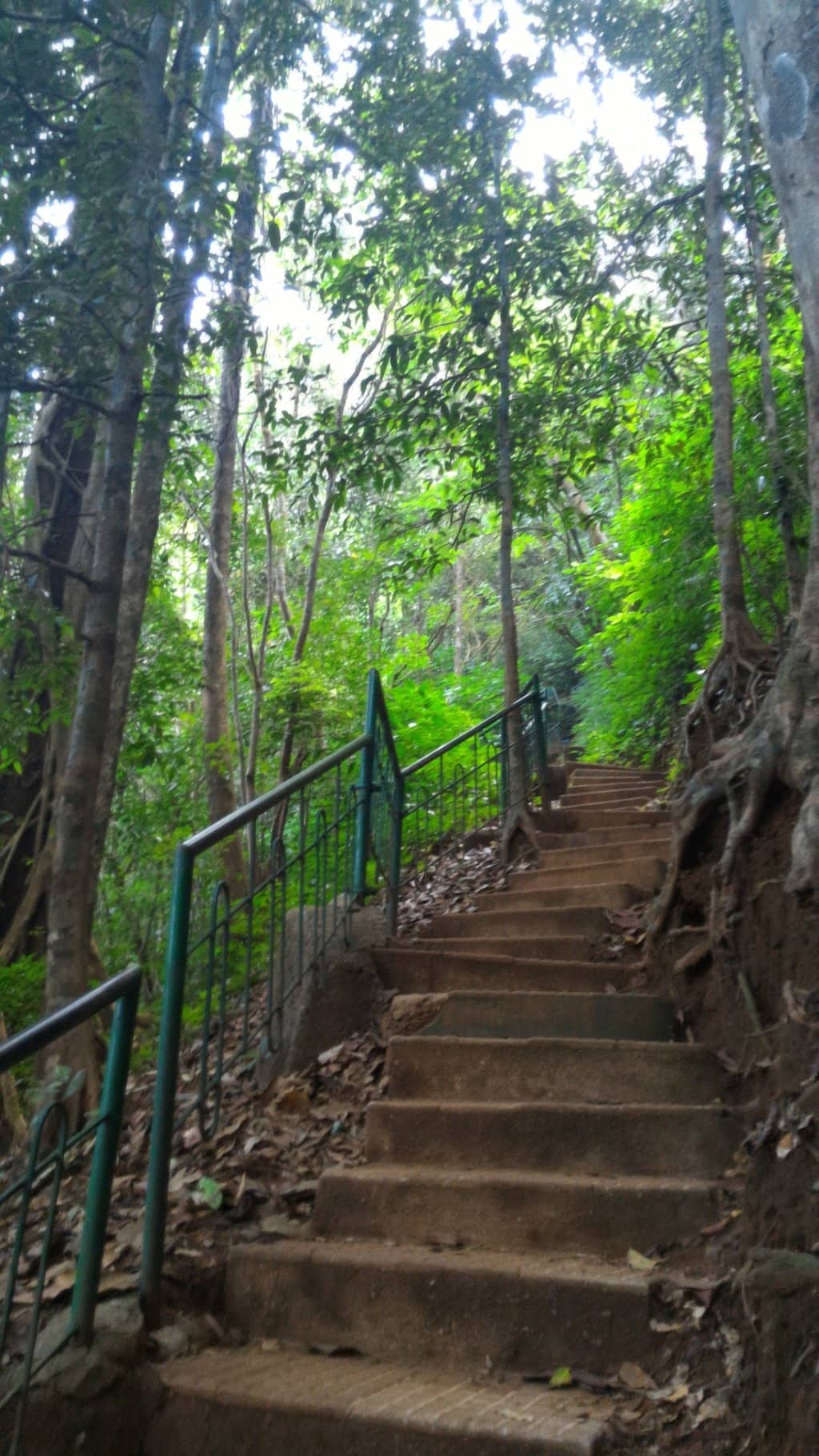 Behind the Cascade Path