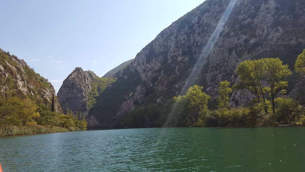 April Wildflower Bloom