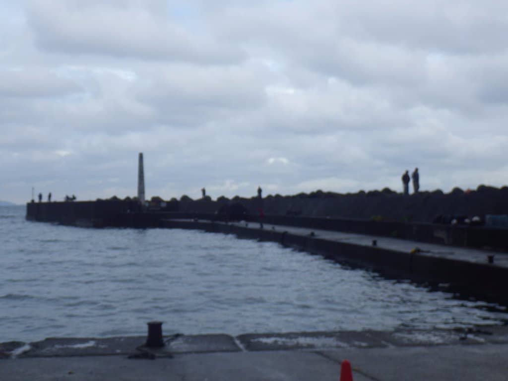 Vertical photo