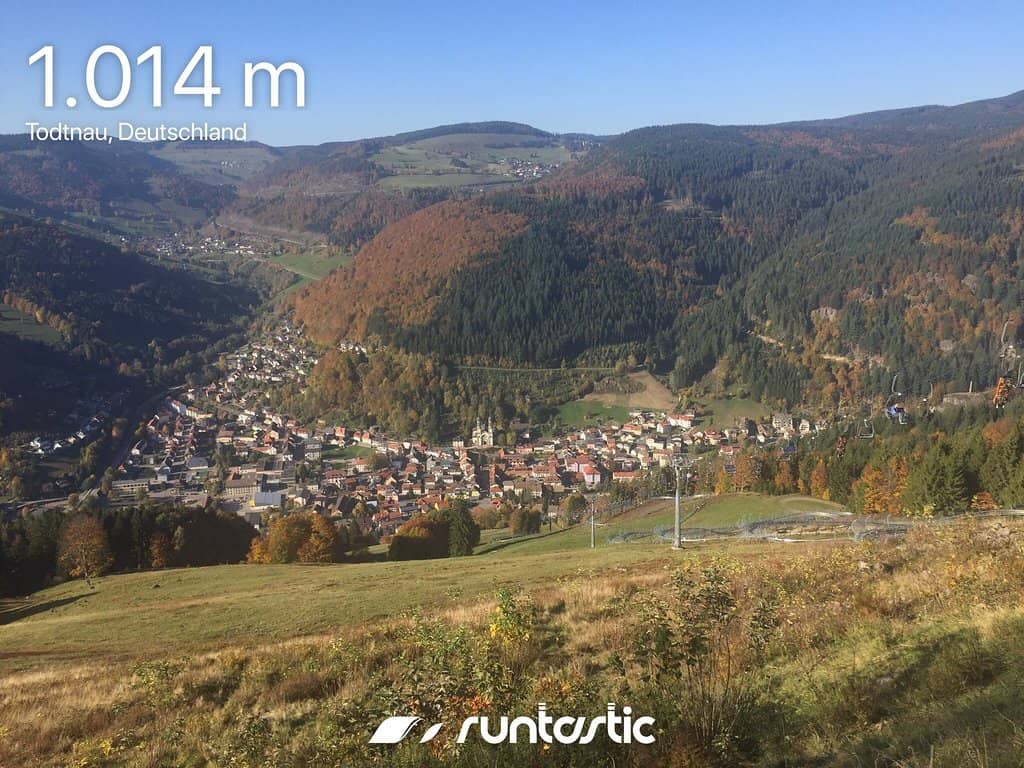 Summit Views & Forest Walk