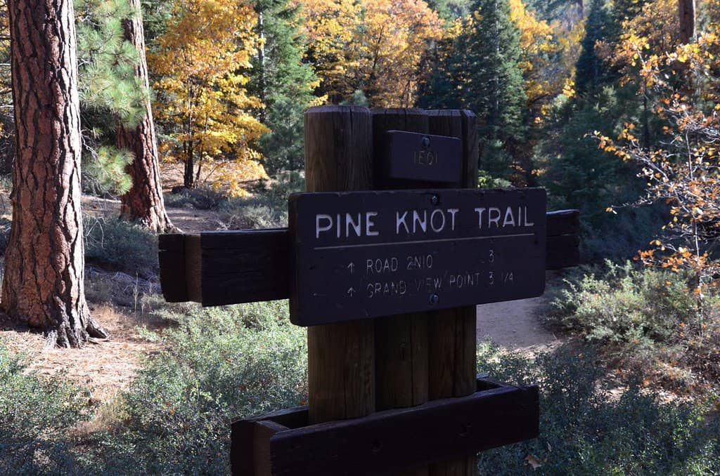 Picnic Spots