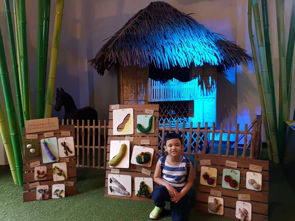 Filipino Culture Exhibits