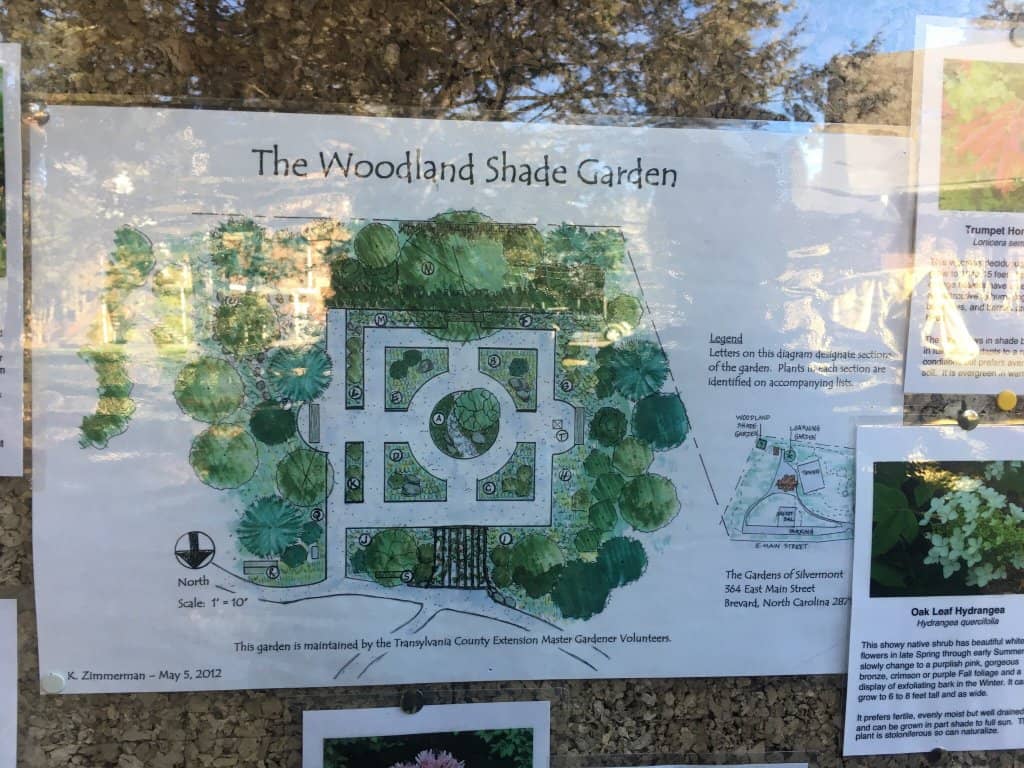 Woodland Garden Stroll