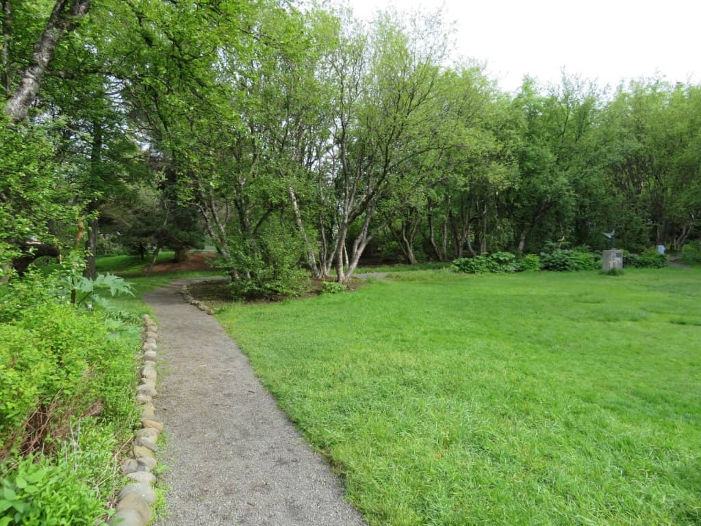 Well-Maintained Green Space