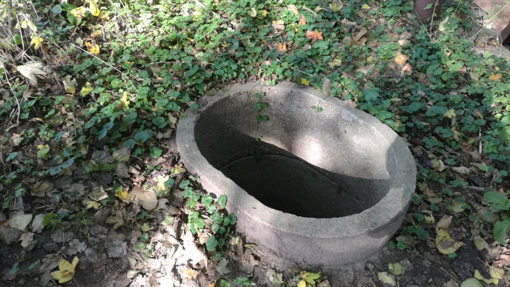 Expert-Led Guided Tours