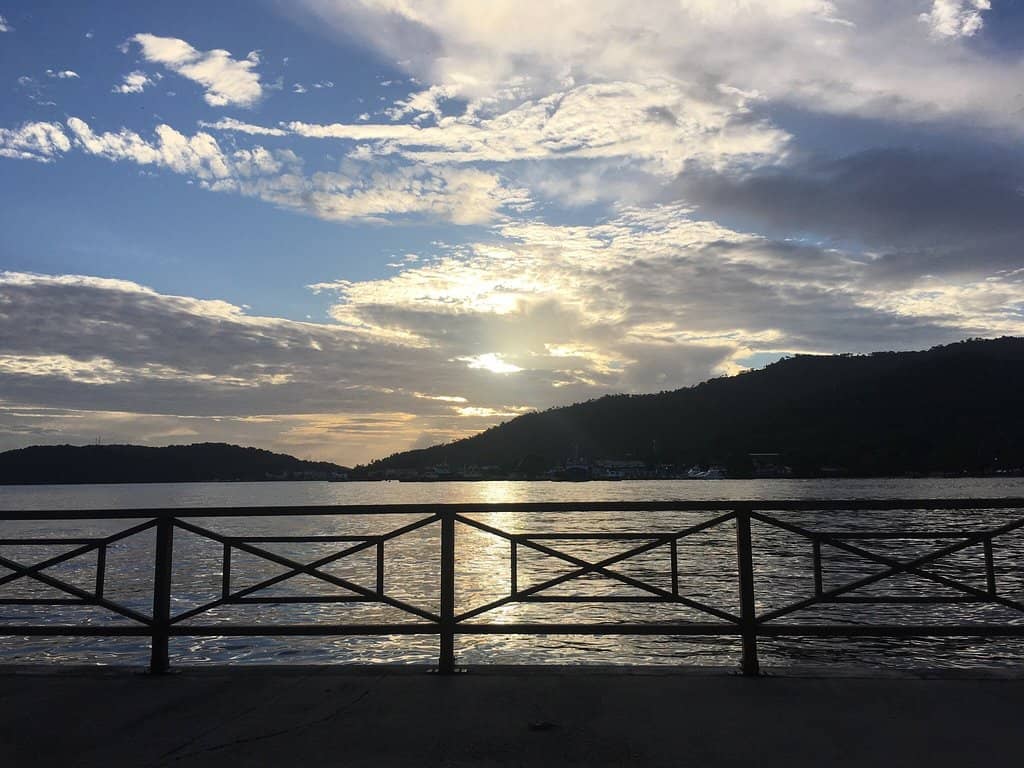 Skallywag Bay Night Market