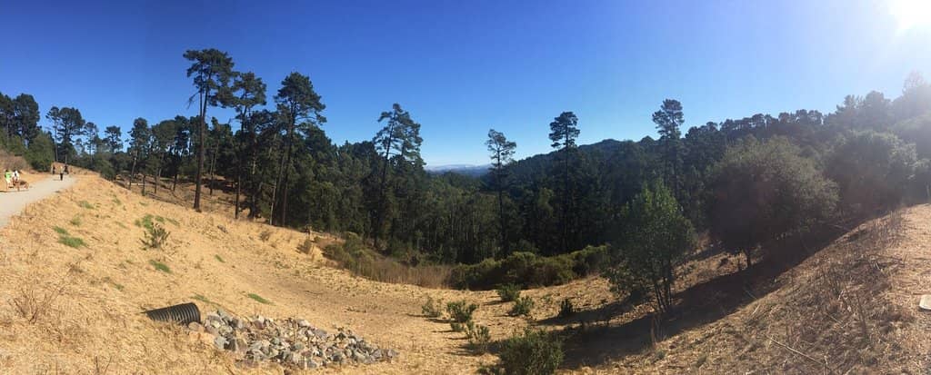 Stream Trail Loop