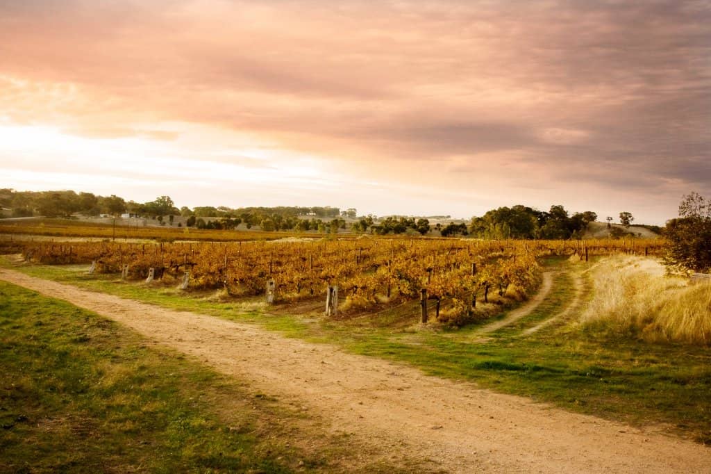 Iconic Watervale Riesling