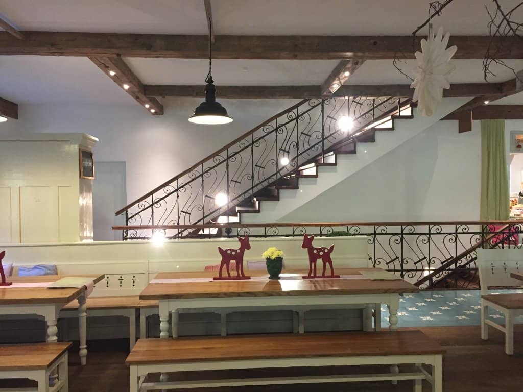 Thrilling Rides with a View