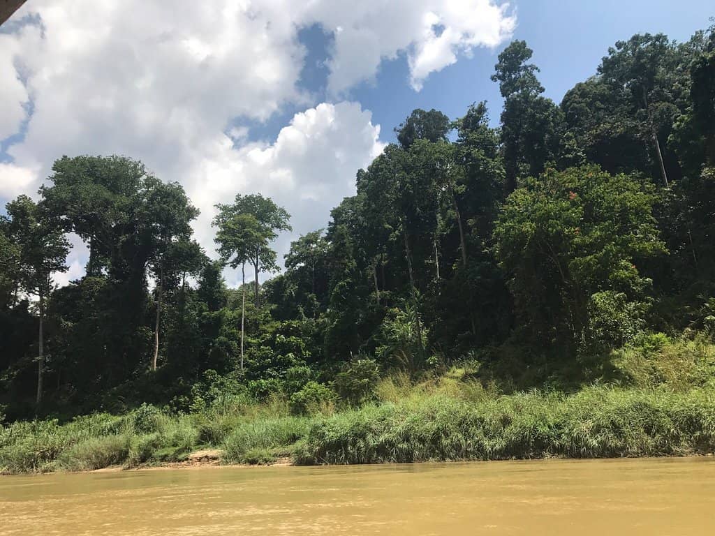 Children's Play Area