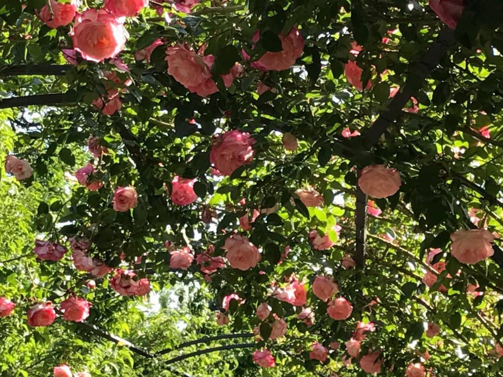 Theatrical Guided Tours