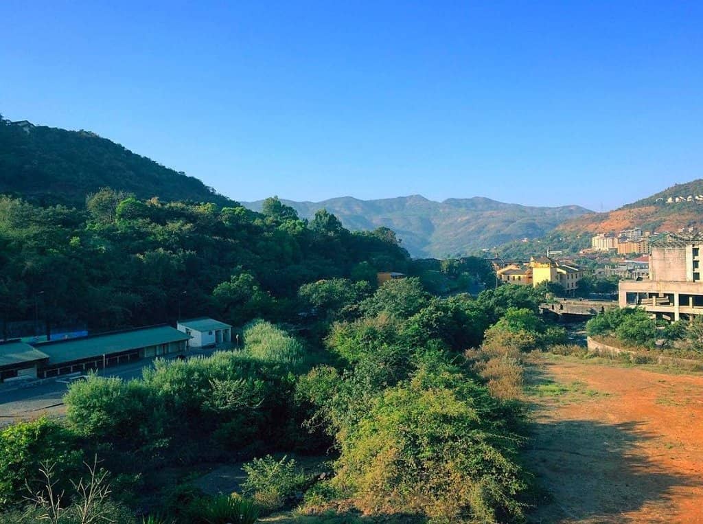 Vibrant Weekend Market