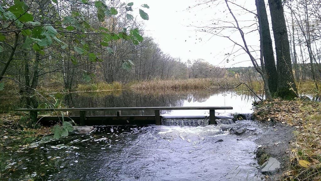 Lake Swimming & Cold Plunge