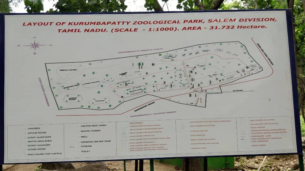 Scenic Park Ambiance