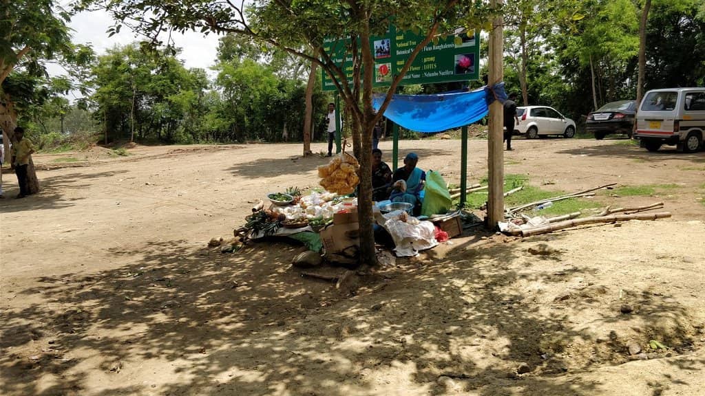 Kid-Friendly Play Area