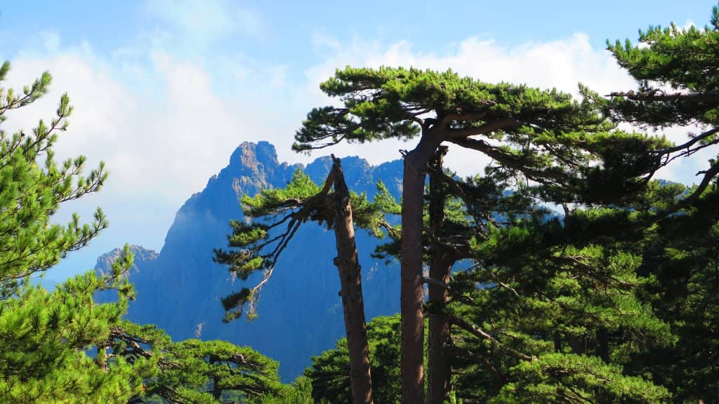 Purcaraccia Waterfalls