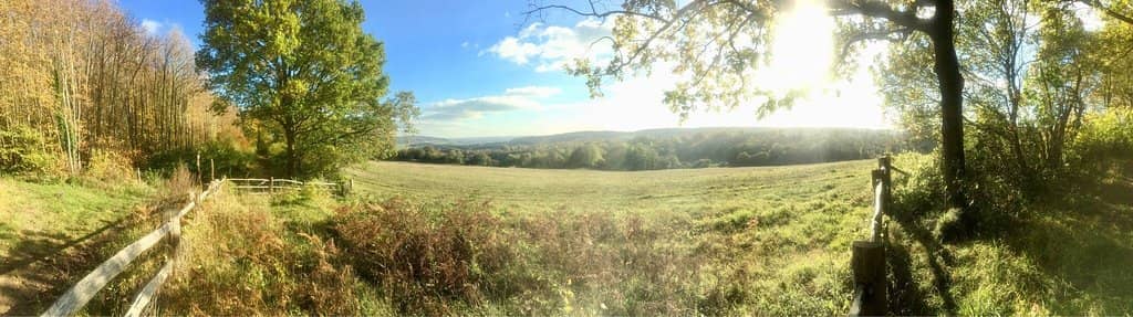 Woodland and Coppice Trails