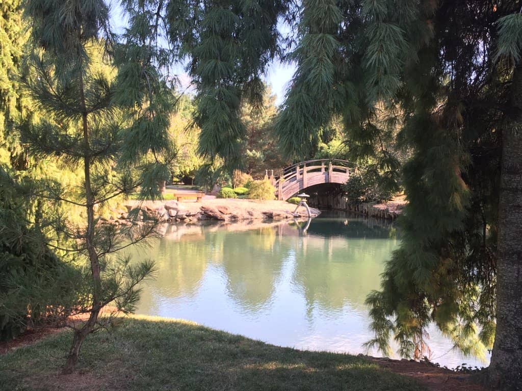 Meditation Garden