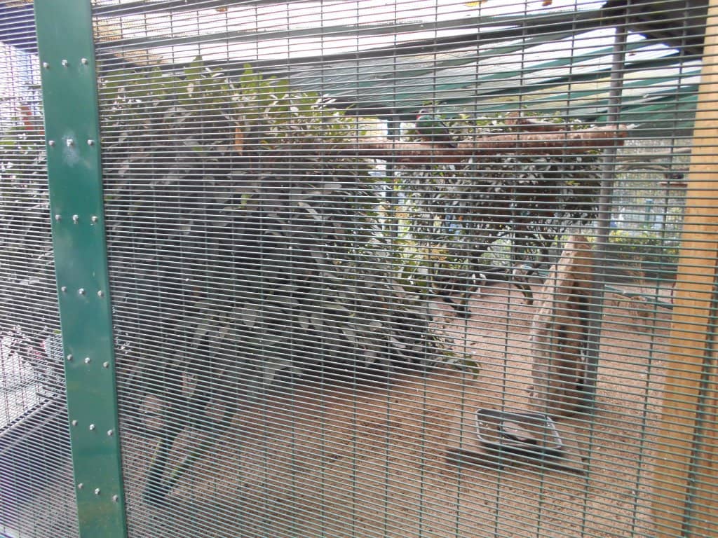 Peaceful Nature Paths