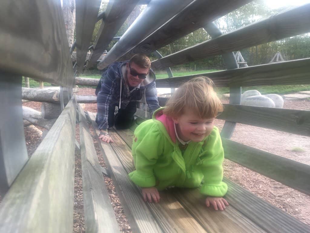 Dog Activity Trail
