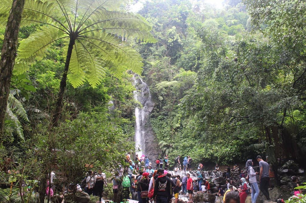 Refreshing Waterfall Swim