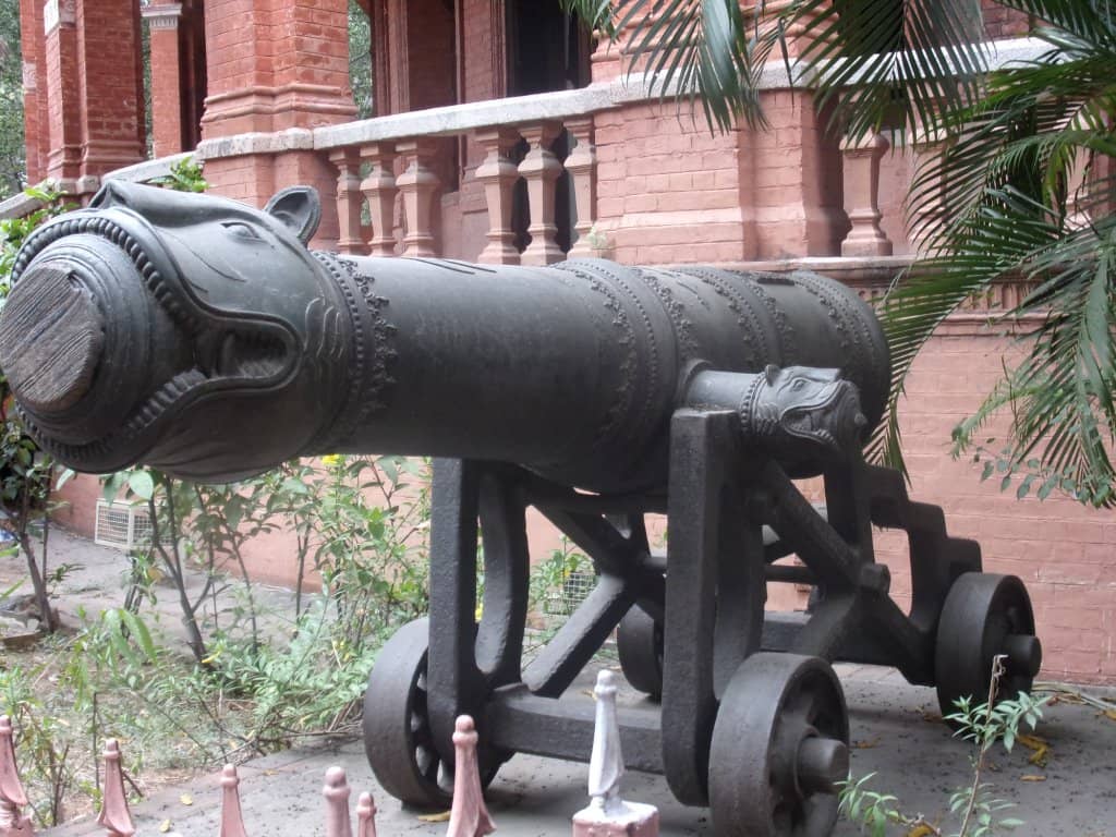 Tribal Life & Wildlife