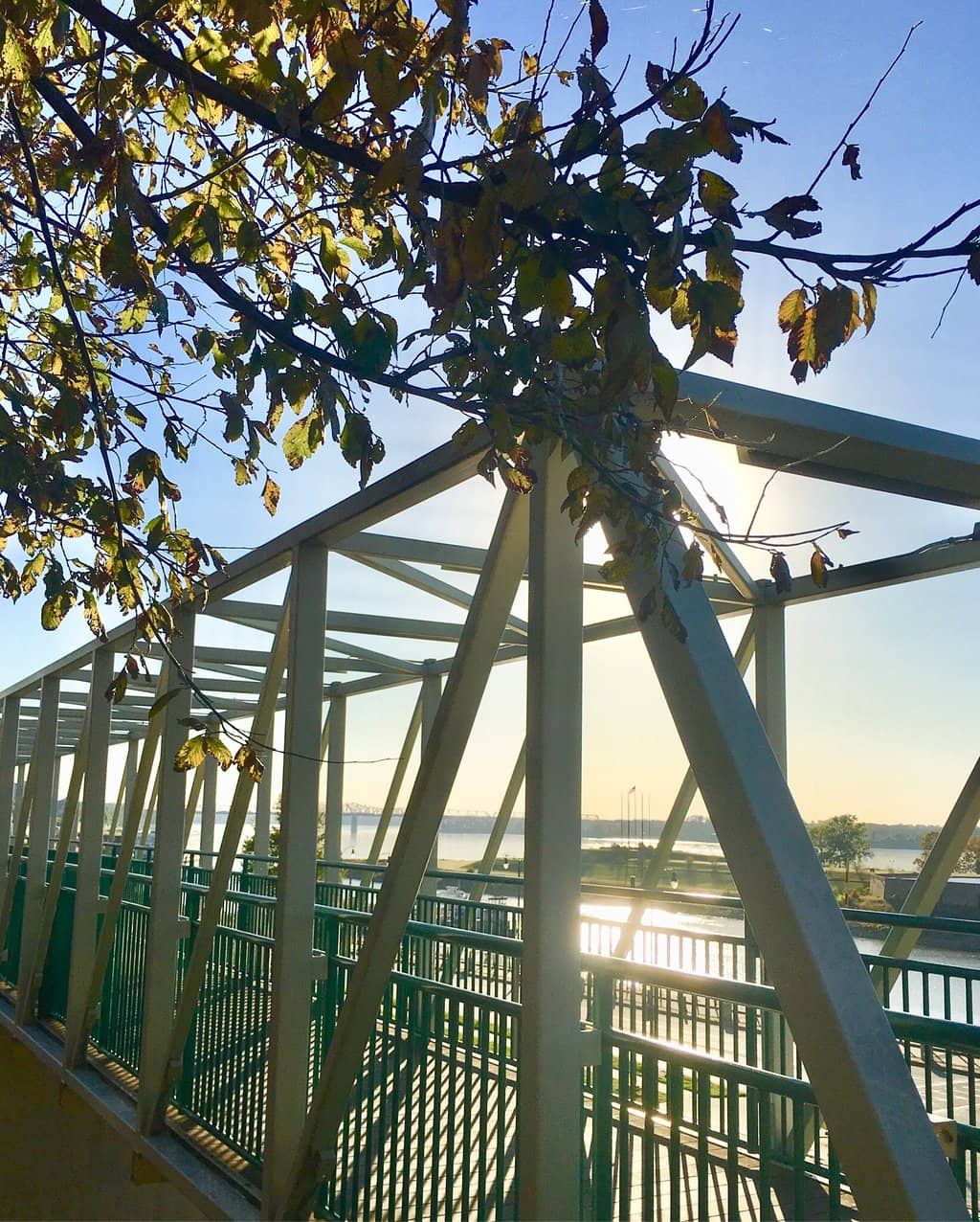 Community Watch Parties