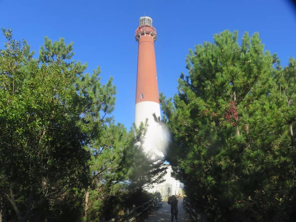 Panoramic Coastal Vistas