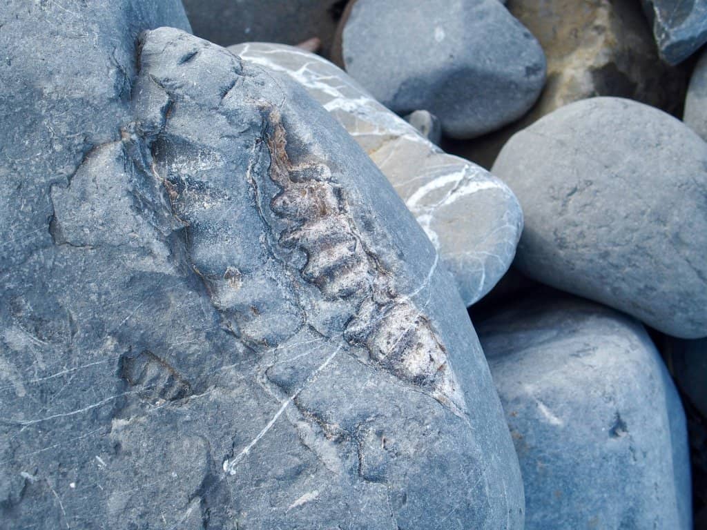 Coastal Hiking Trails