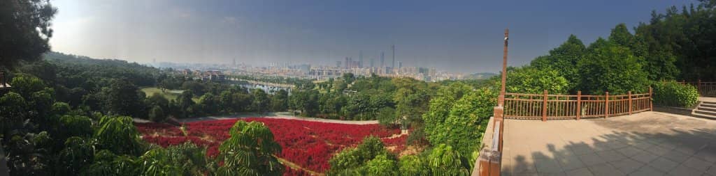 Buddhist Temple & Viewing Deck