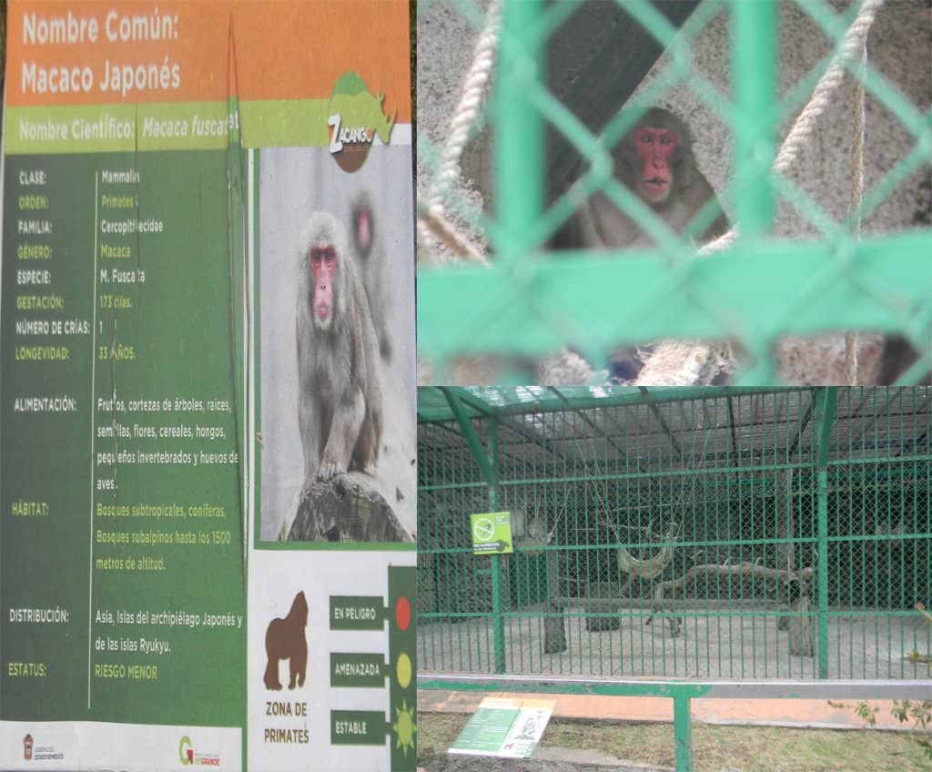 Family Fun at the Playground