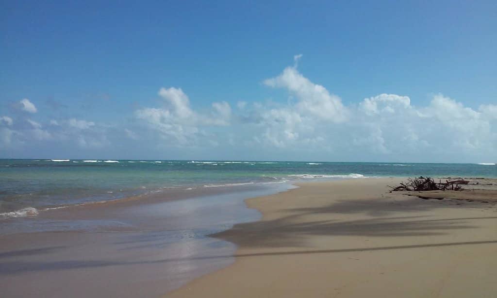 Beachfront Lounges